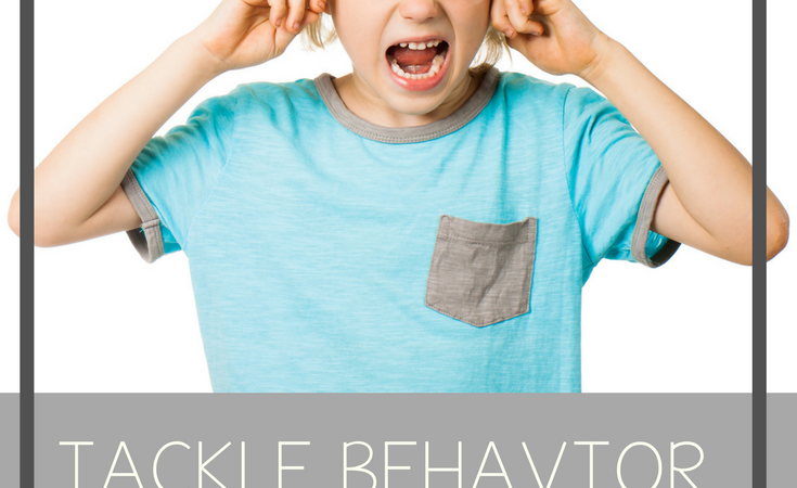 Tackle Behavior Challenges Like a Boss