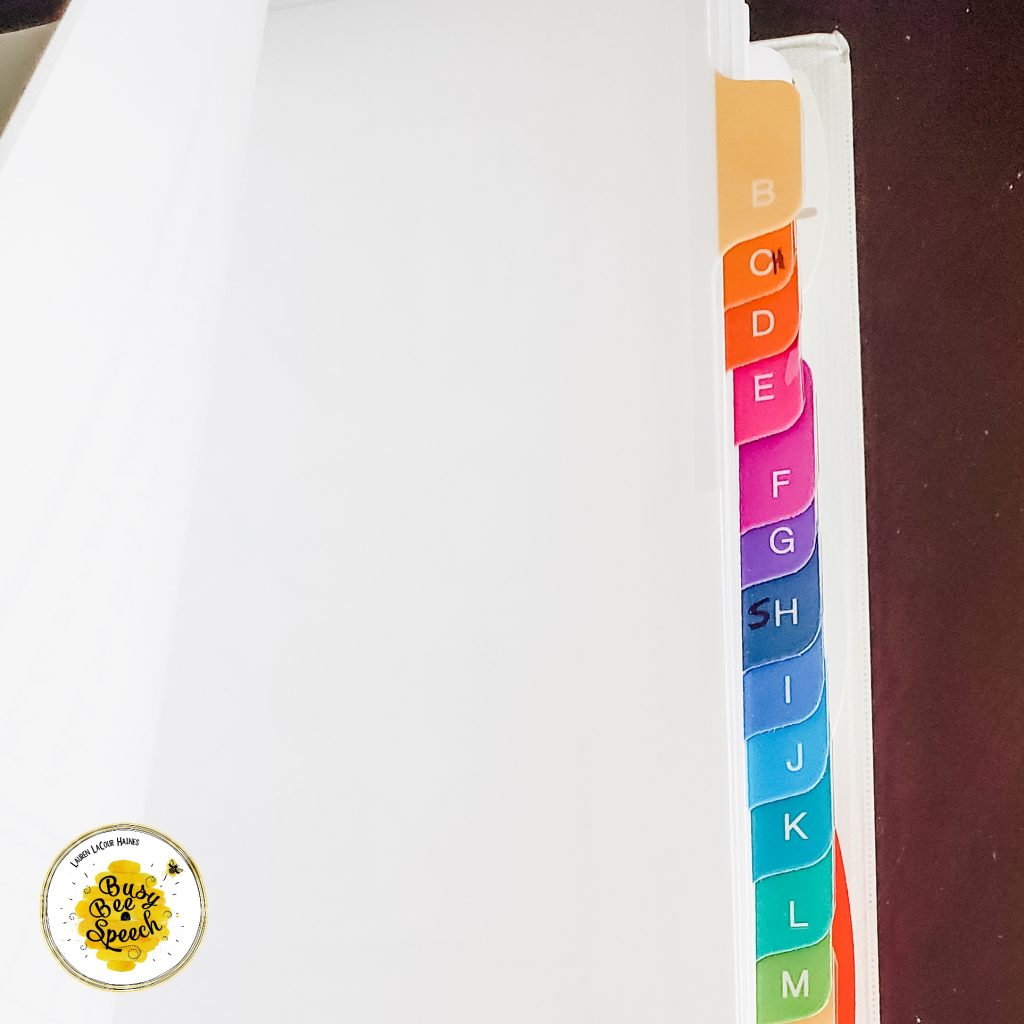 SLP paperwork binder tabs